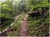 Pod Debelo glavo - Planina Poljana